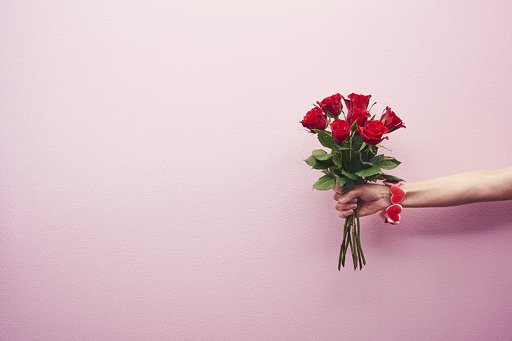 Plantagen-valentine-roses