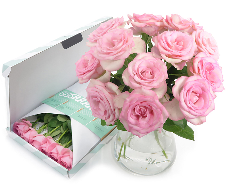 L002-0-zacht-roze-rozen-bloompost-brievenbus-bloemen-cadeau